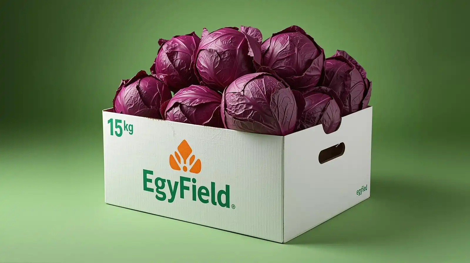 Cabbage (Red)